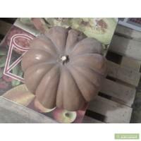 Продам Тыкву Мускат де Прованс.