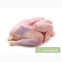 Продажа : Мясо фазана