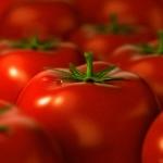 Продам томатную пасту Сеньор-Помидор ;