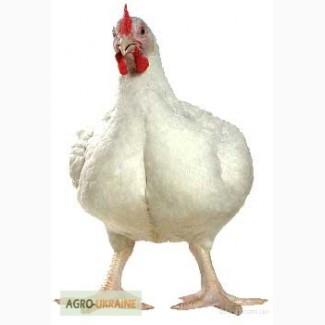 Премиксы для бройлера 2, 5% ( старт и откорм)