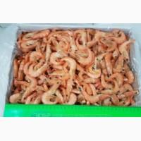 Продам королевские креветки