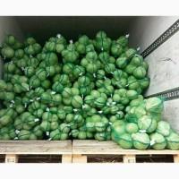 Продам капусту белокочанную