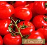 Продам помидоры,турция,Иордания