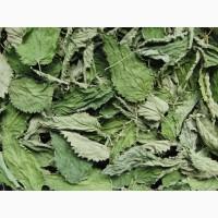 Продам сушене листя кропиви