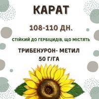 Посівний матеріал соняшника. Гібрид КАРАТ (108-110дн.)