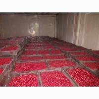 Продам ВИШНЮ заморожену з кісточкой