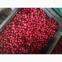 Продам ВИШНЮ заморожену з кісточкой