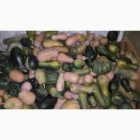 Продам кашовые ГАРБУЗЫ