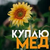 Закупка МЕДУ у Кіровоградській області