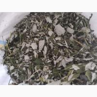 Куплю лист липи, лист малини