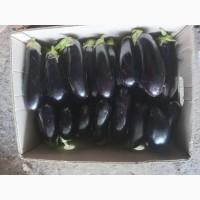 Продам баклажани