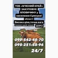 Заготівля врх