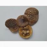 Пантерний мухомор в гранулах