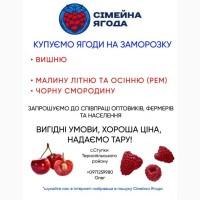 Купуємо чорну смородину на заморозку