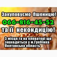 Закуповуємо пшеницю 2, 3, 4 клас!А також прілу та іншу некондицію! 2025р урожай