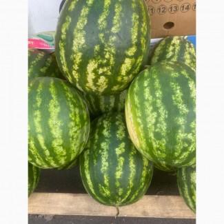 Продам кавун, Вінницька область, Немирівський район