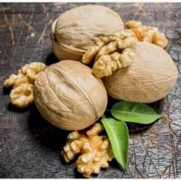 Куплю горіх волоський, грецький горіх