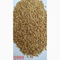 Продам спельту обрушену лущена (лат. Triticum spelta, полба)- 700т