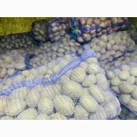 Домашня картопля, відмінної якості