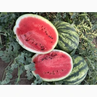 Продам якісний кавун
