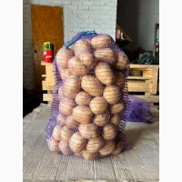 Продам картоплю