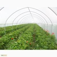 Термоплівка теплична PATILUX 150 мікрон ЗНИЖКА
