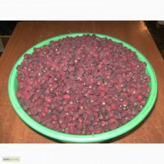 Ягоды боярышника (глоду), сушеные, недорого