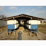 Продам племенное поголовье кролей калифорнийской породы