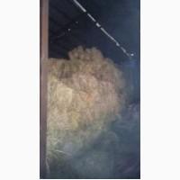 Продам сено луговое