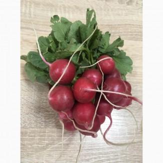 Продаём редис