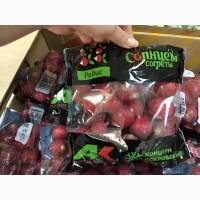 Продаём редис