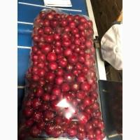 Продаём редис