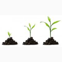 Asahi SL (Асахи) 1л биостимулятор роста (Польша)