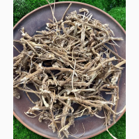 Кропива, кропива сушена