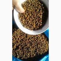 Куплю чищенную пергу постоянно, по всей Украине