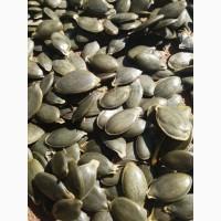 Продам насіння голосім#039;янного гарбуза