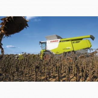 Уборка льна сои подсолнечника соняшника кукурузы Новомиргород Новоукраинка Смолино Петрово