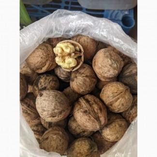 Куплю горіх дорого