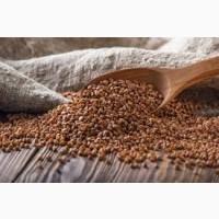 Куплю гречку, Полтавська, Сумська, Чернігівська, Харківська області