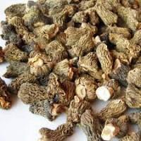 КУПЛЮ сморчок сушений