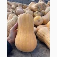 Продам Гарбуз на кашу