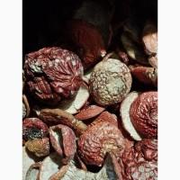 Мухомор червоний, при замовленні від 1 кг знижка