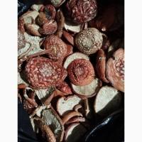 Мухомор червоний, при замовленні від 1 кг знижка