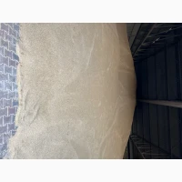 Продамо жито з доставкою