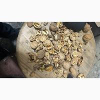 Продам грецький горіх