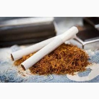 Великий асортимент, порядність Вірджинія-Берлі-Золоте руно