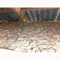 Продам суху кору дуба