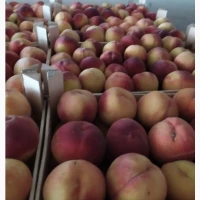 Продам свіжий персик Іспанія