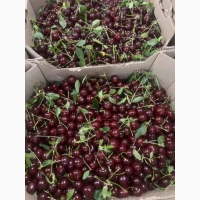 Продам вишню