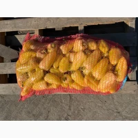 Продам перець білозерка